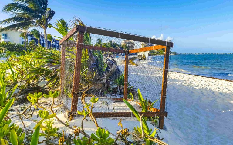 SOS Turtles: Sea Turtle Conservation